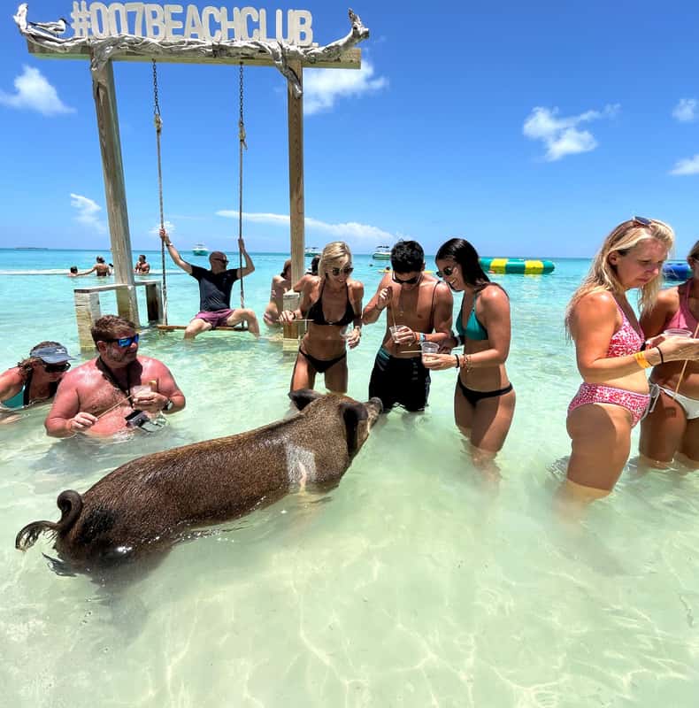 Nassau: Pigs, Snorkelling, Turtles, Lunch, Private Beach Club