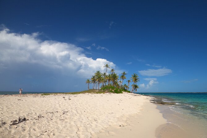 Rose Island Adventure: Turtle Swim and Snorkel